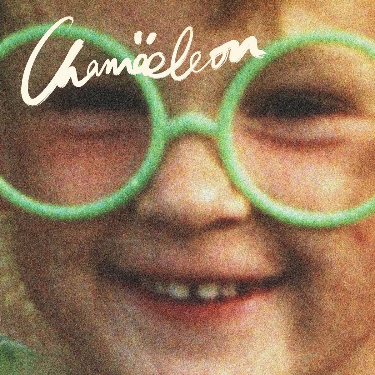 Album cover of Chamäleon