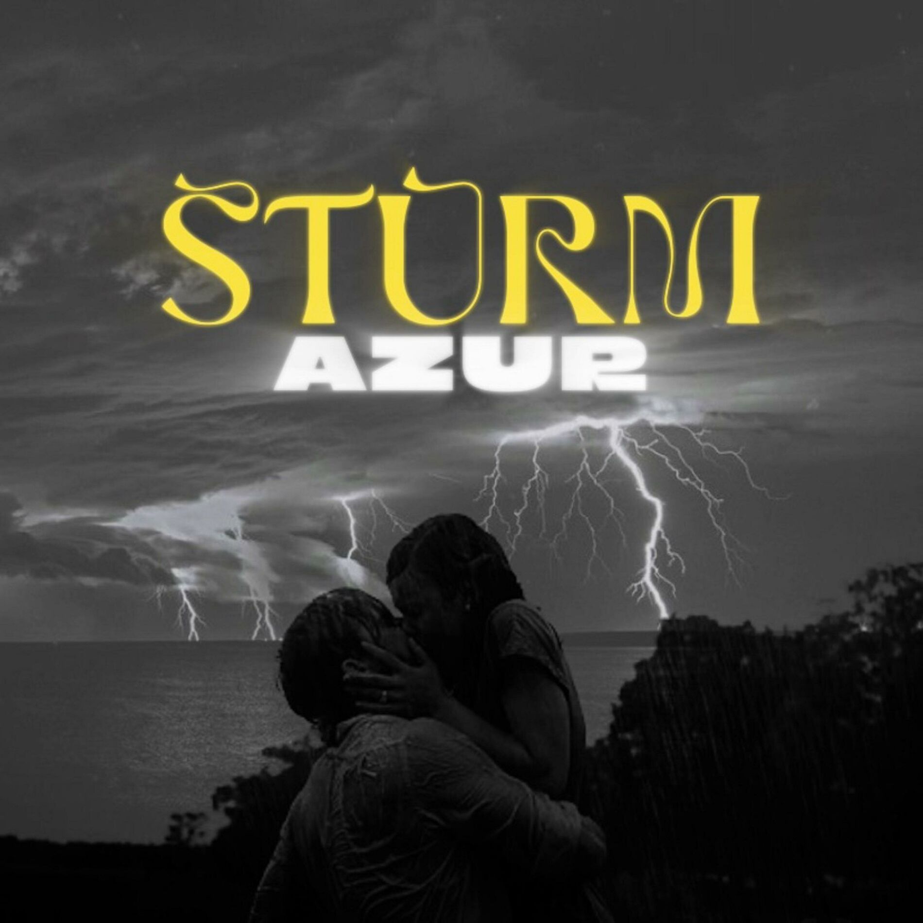Album cover of Sturm