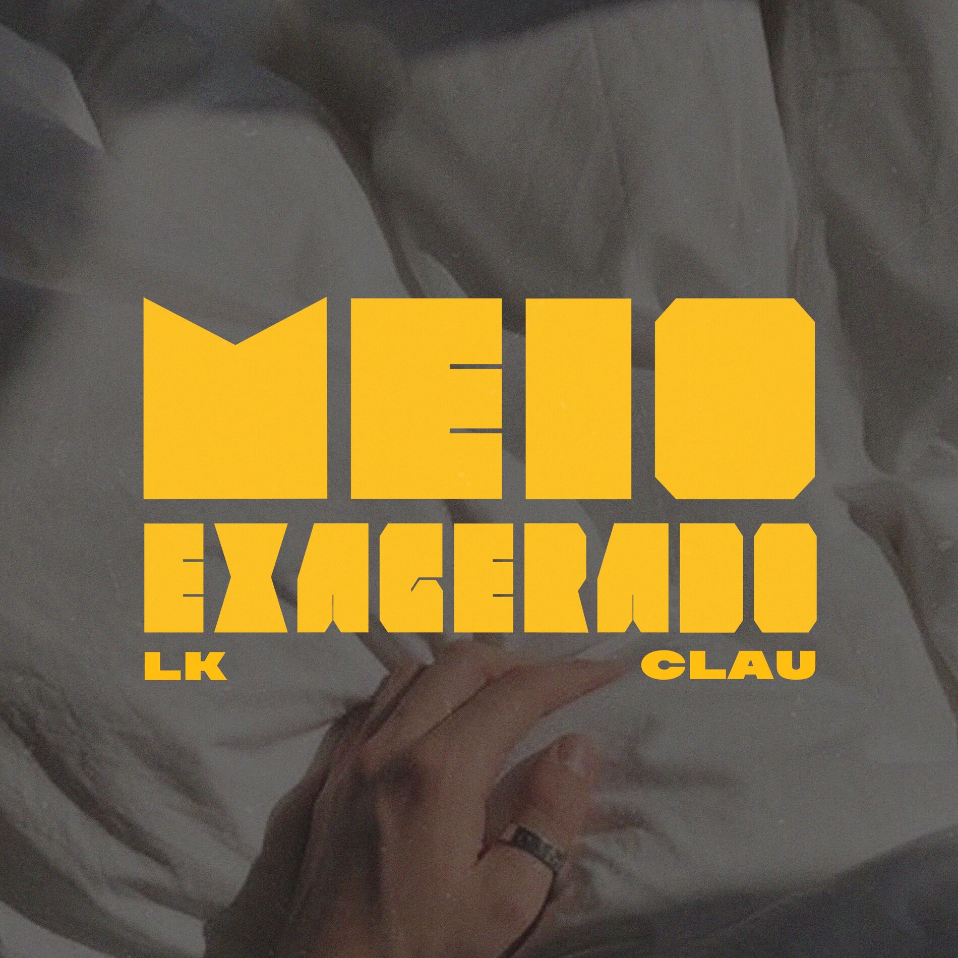 Album cover of Meio Exagerado