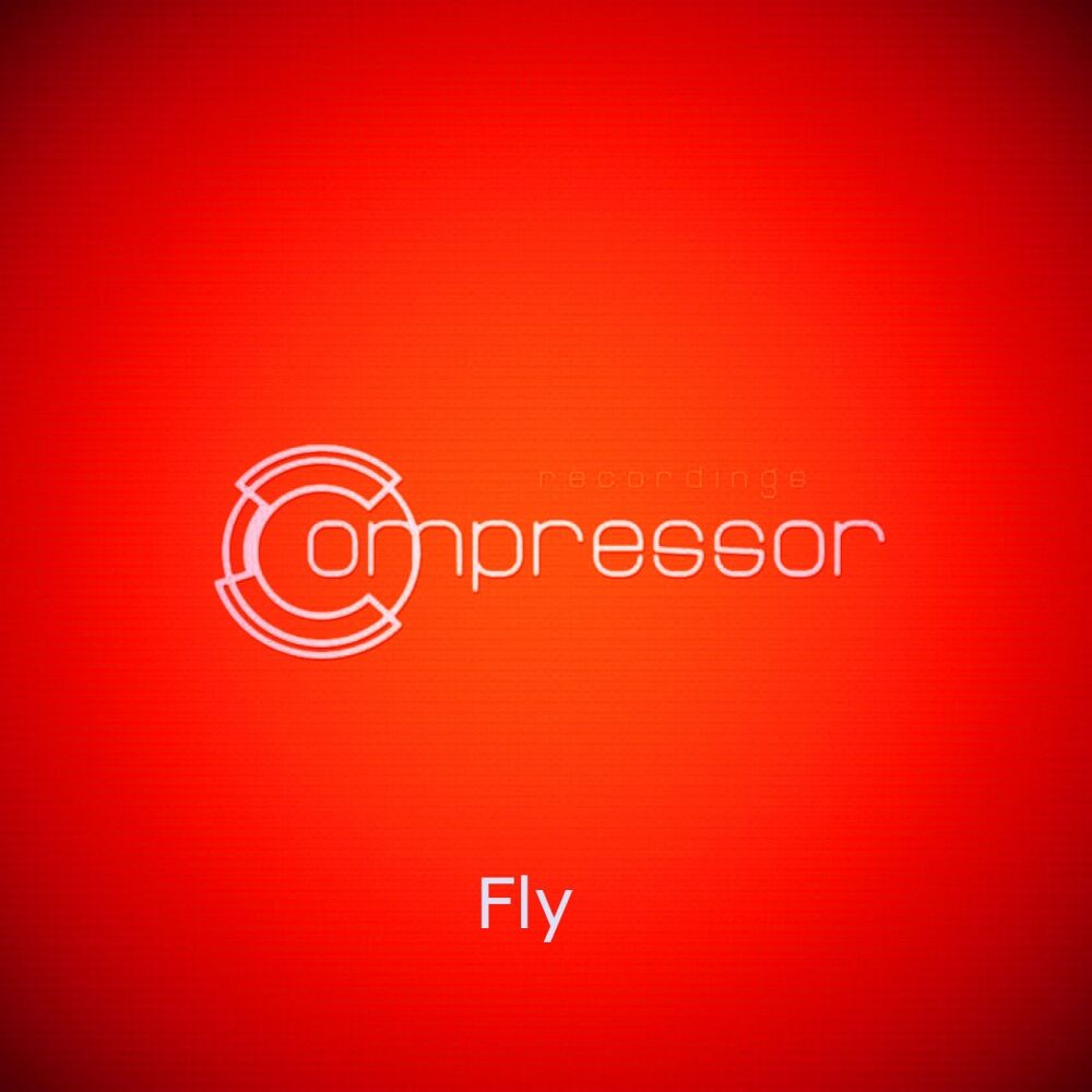 Picture of Fly