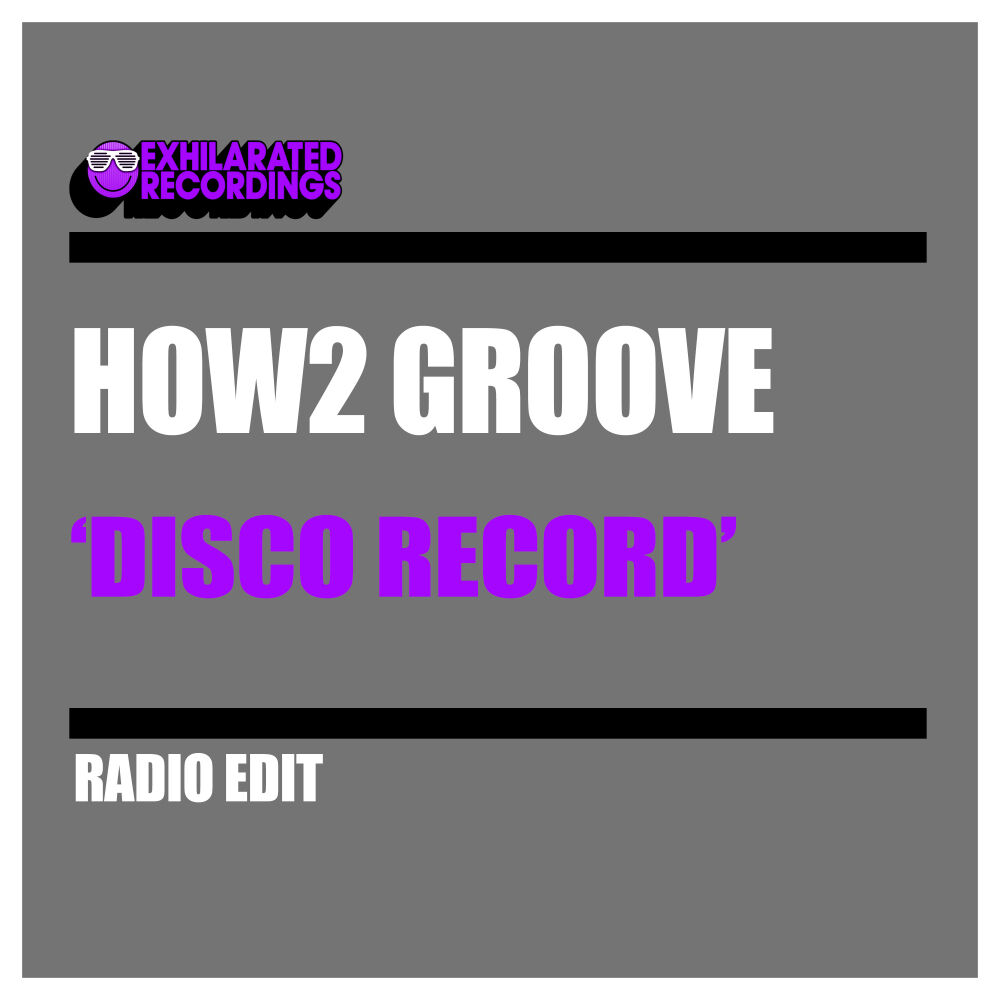 Picture of Disco Record (Radio Edit)