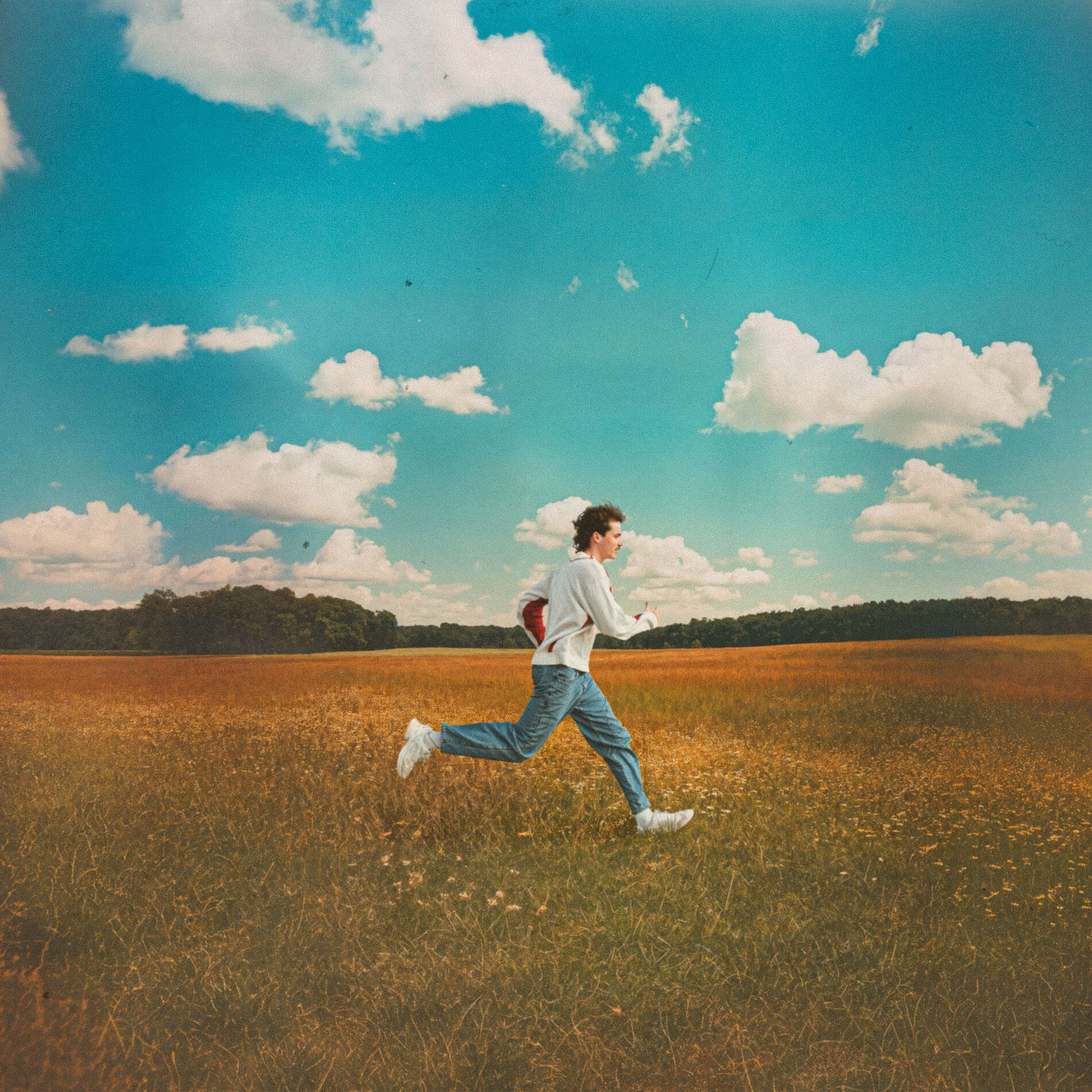 Album cover of Run (feat. Ragdoll)