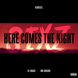 Cover of Here Comes the Night