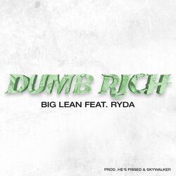 Cover of Dumb Rich