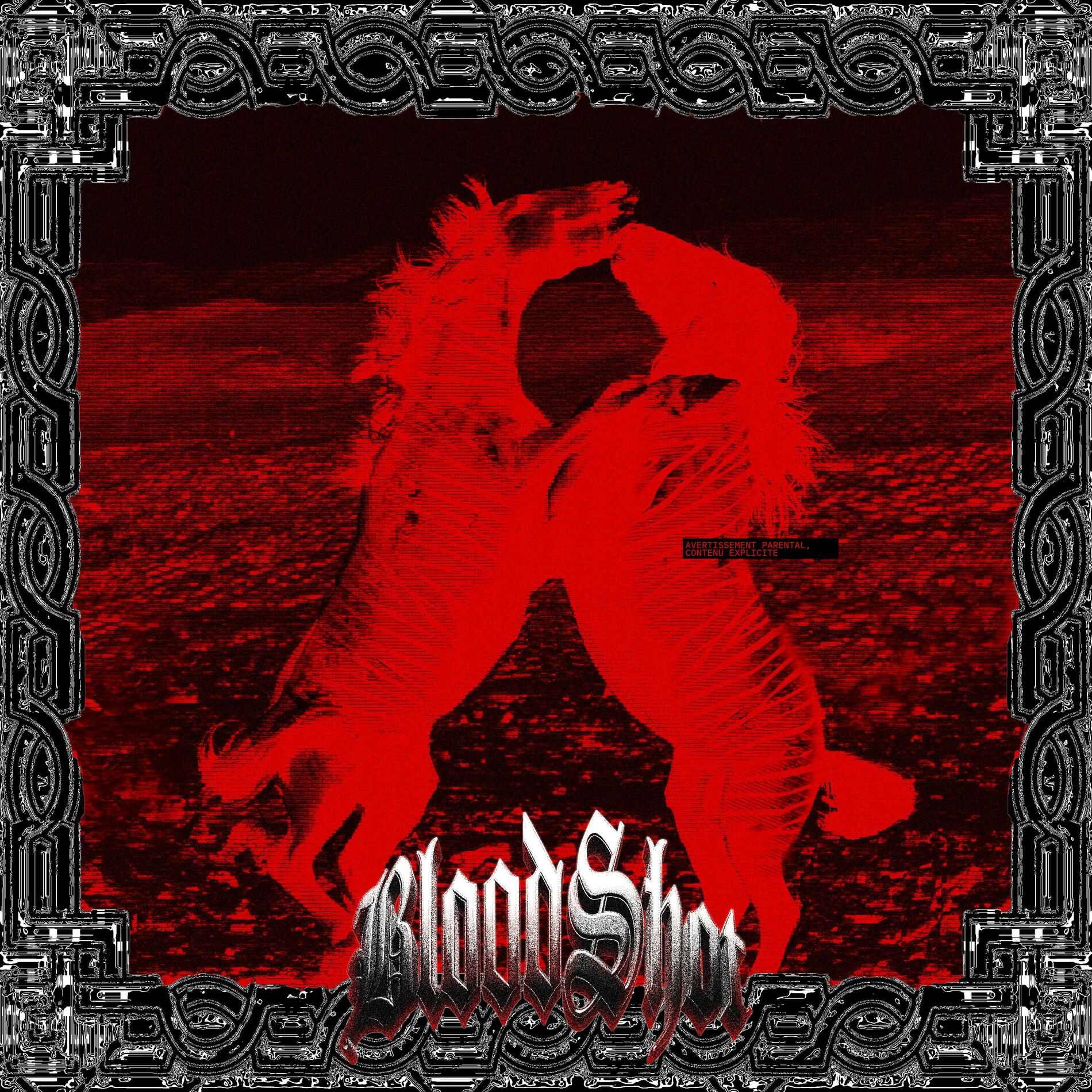 Album cover of EQUUS FERUS : bloodshot