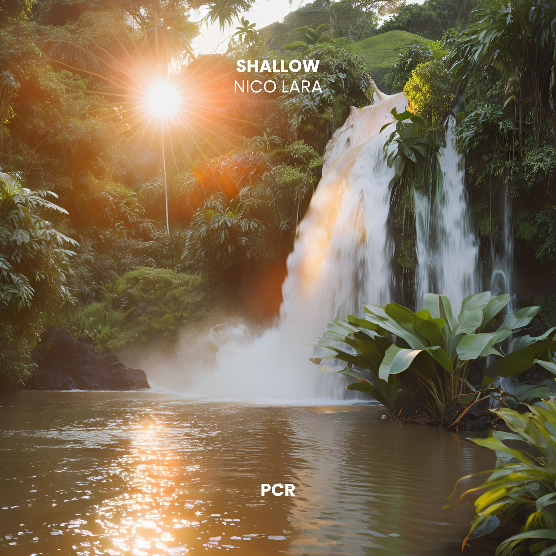 Album cover of Shallow