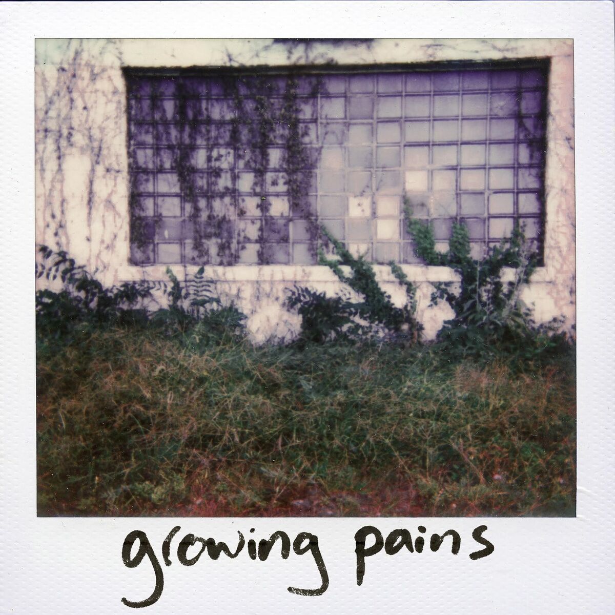 Album cover of You're Gonna Live (Forever)