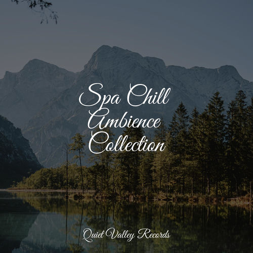 Spa Chill Ambience Collection