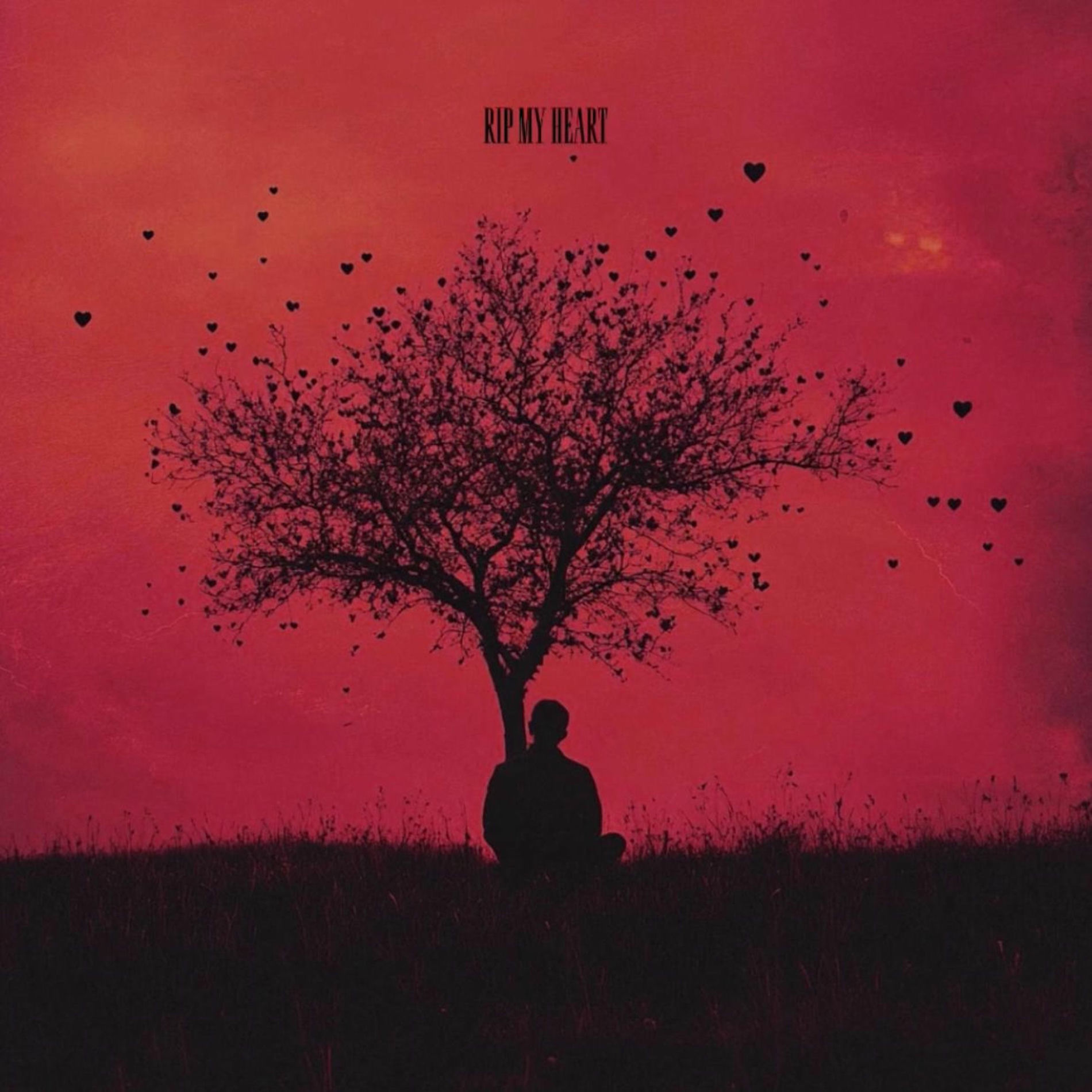 Album cover of Rip My Heart