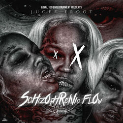 Cover of Schizophrenic Flow