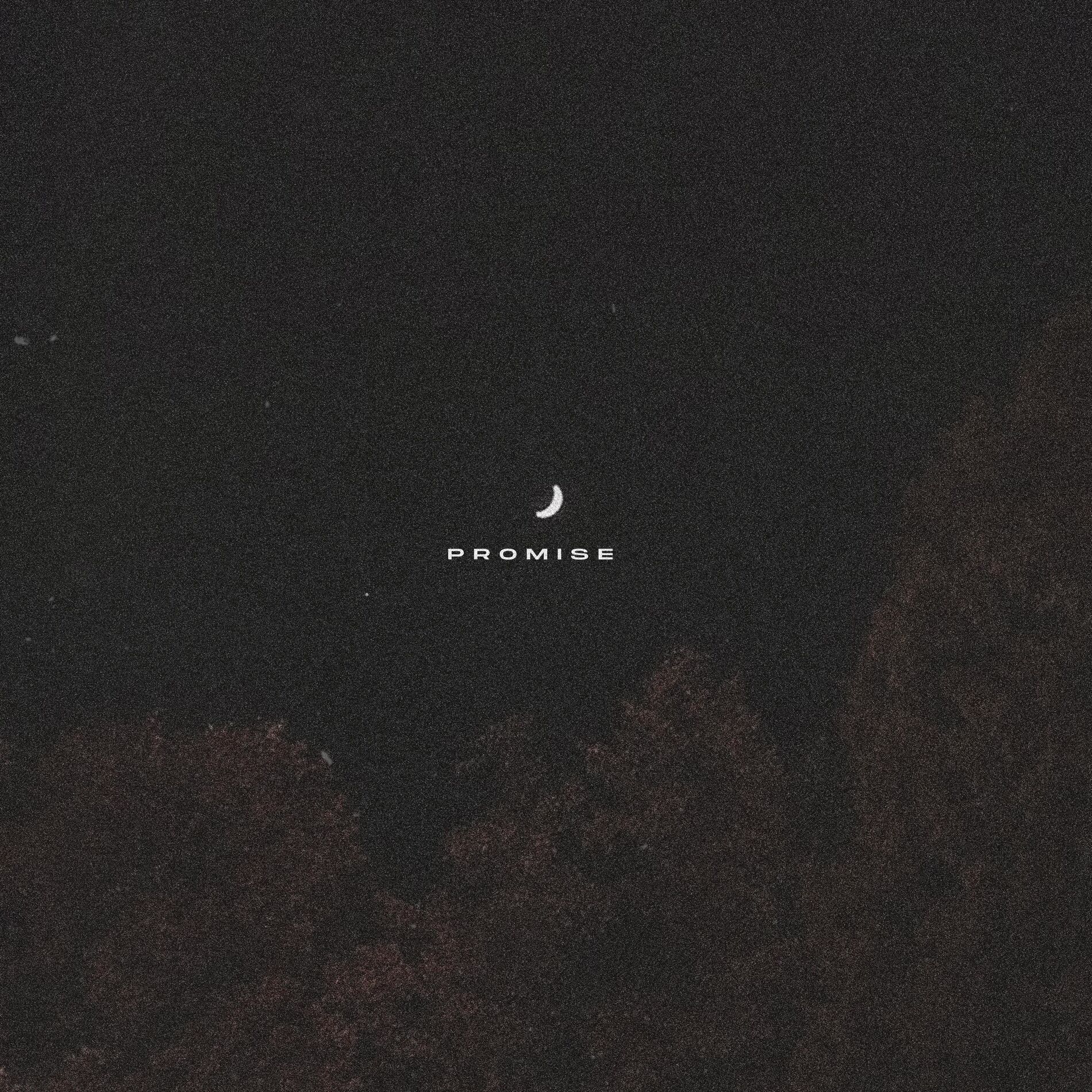 Album cover of promise