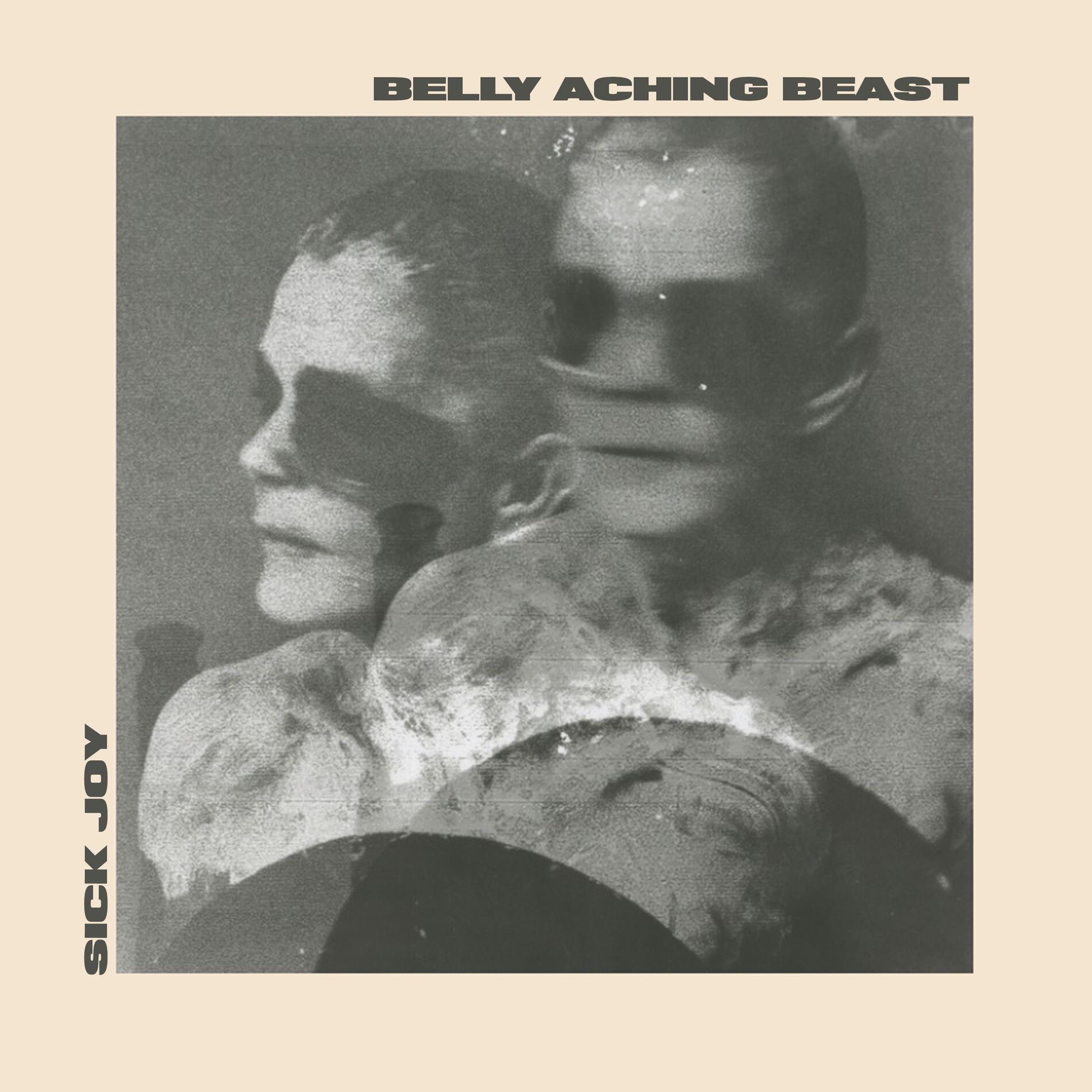 Album cover of belly aching beast (feat. Jamie Lenman)