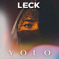 Cover of YOLO