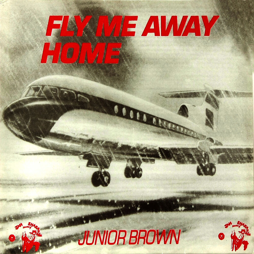 Picture of Fly Me Away Home
