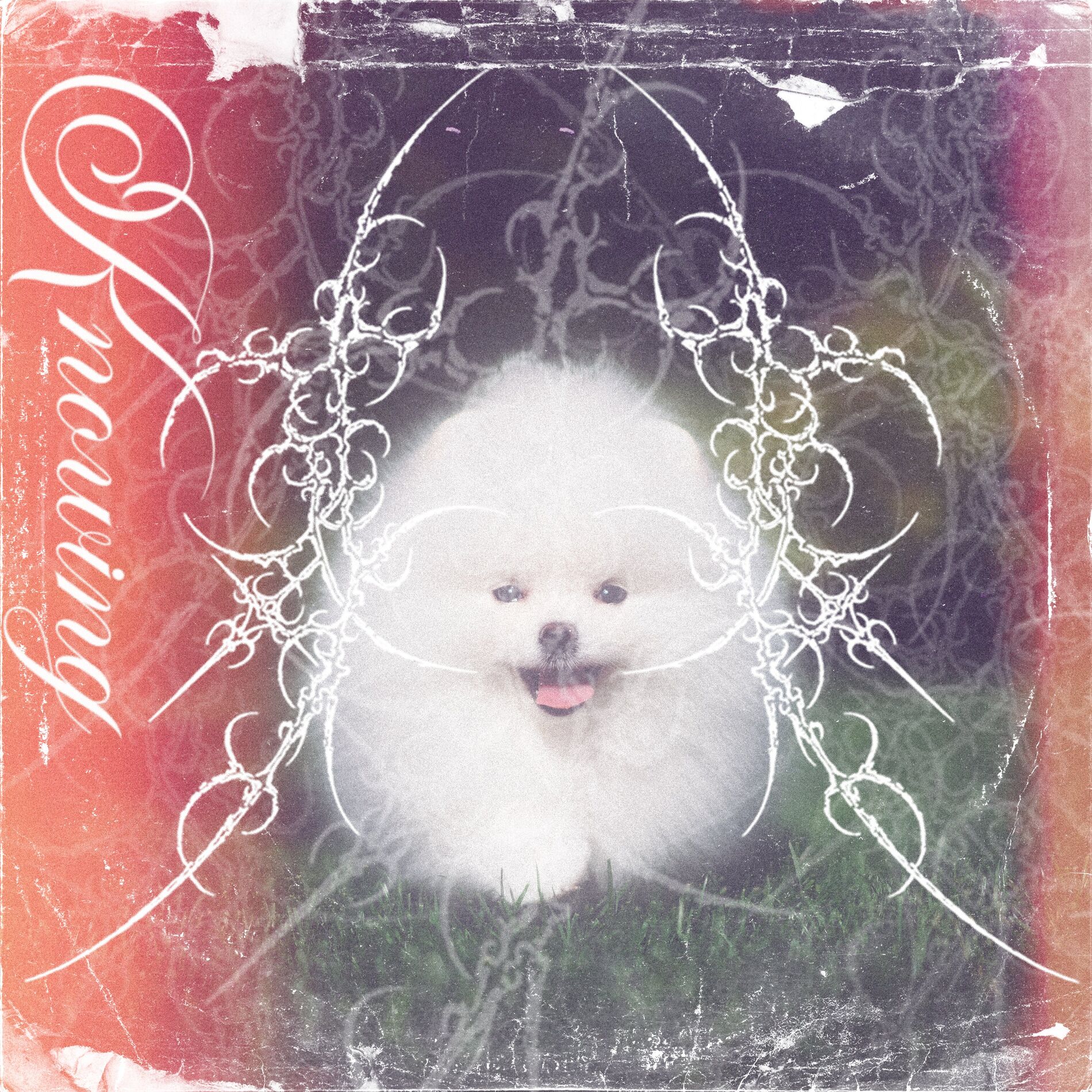 Album cover of Knowing