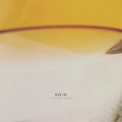 Cover of Void