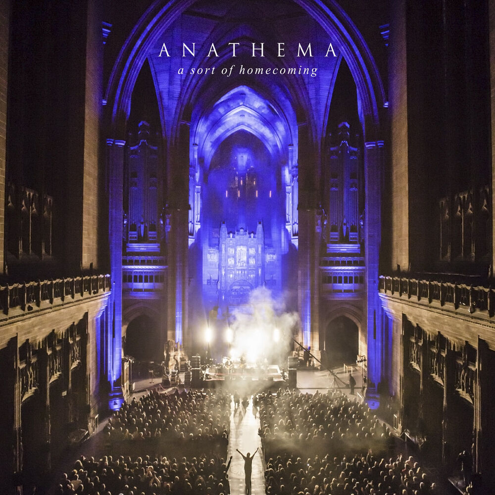 Picture of A Sort of Homecoming