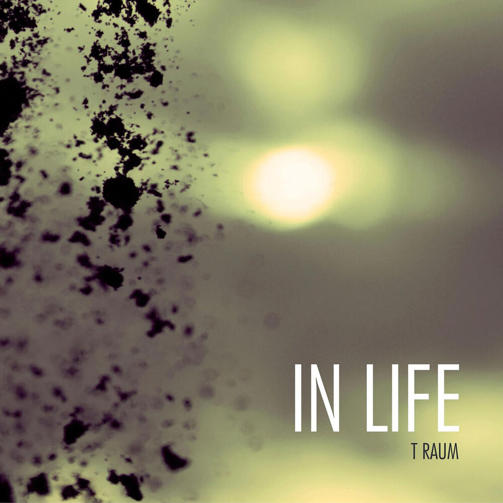 Picture of In Life