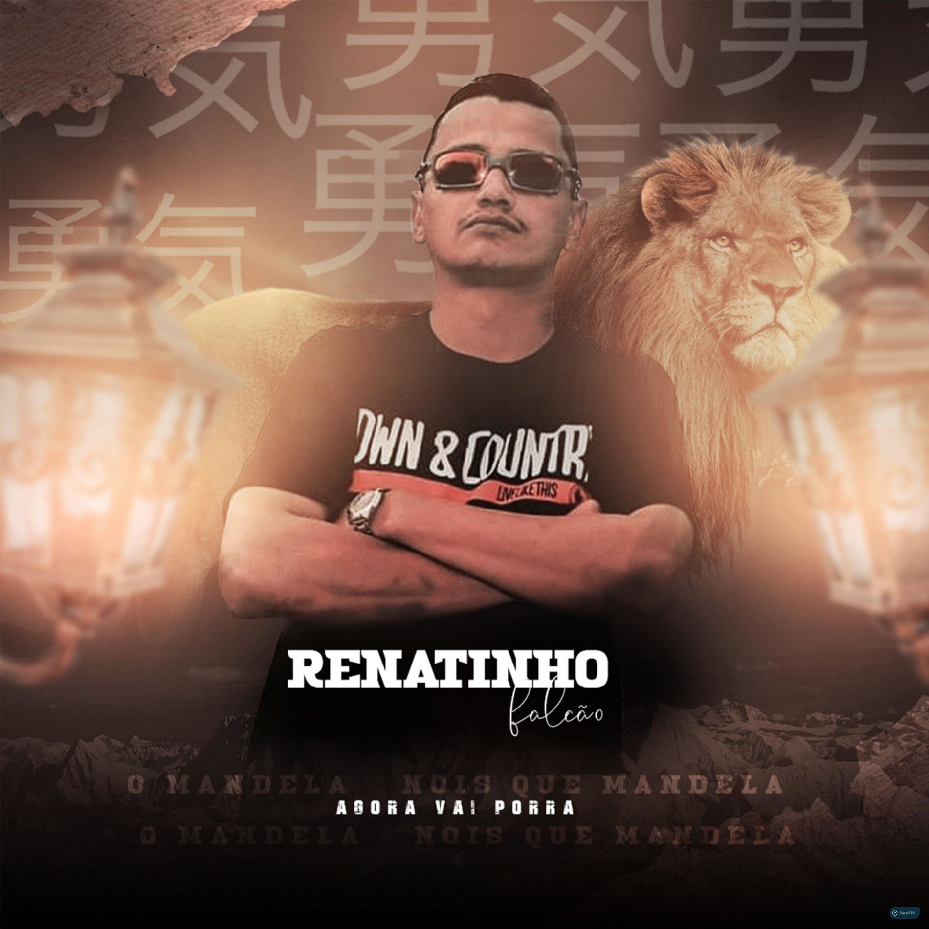 Album cover of Agora Vai Porra