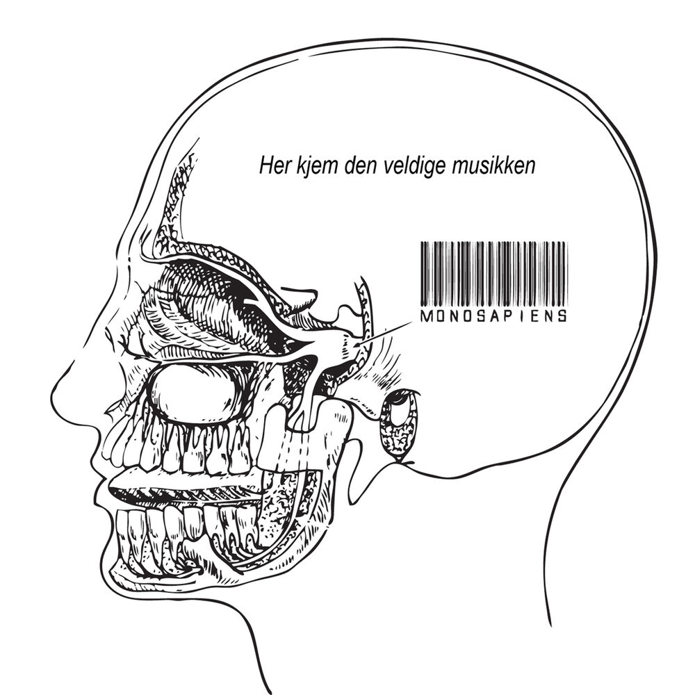 Picture of Her Kjem Den Veldige Musikken