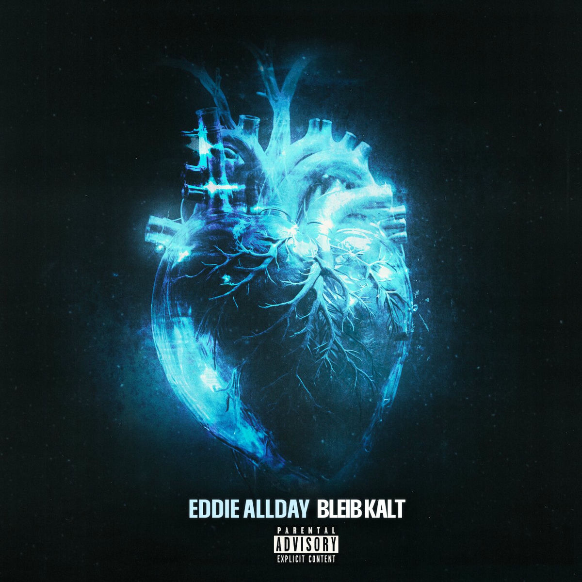 Album cover of Bleib Kalt