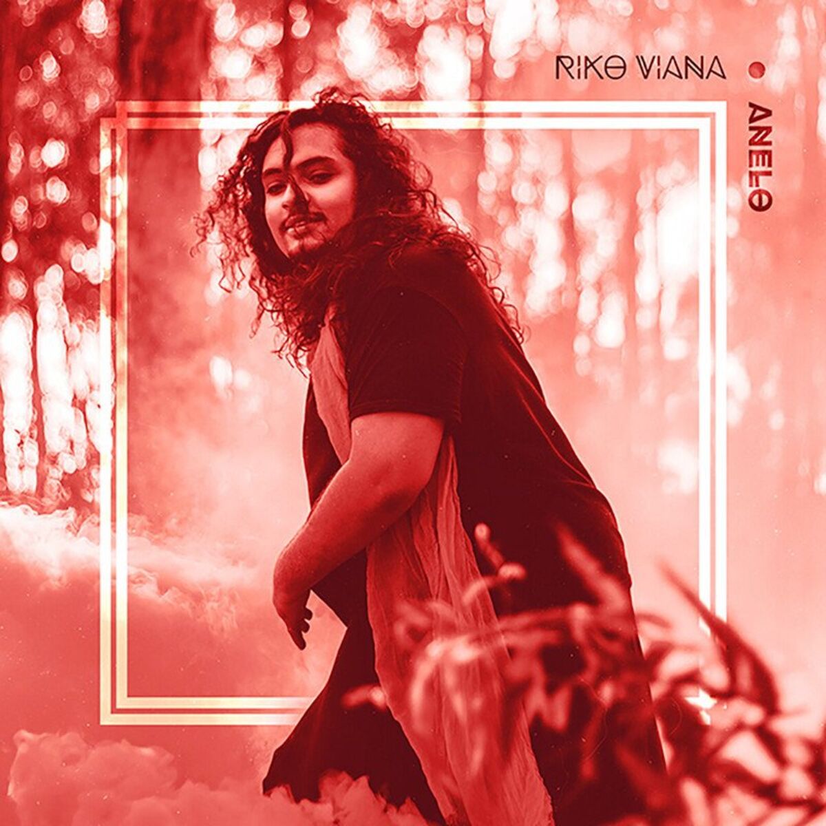 Album cover of Anelo