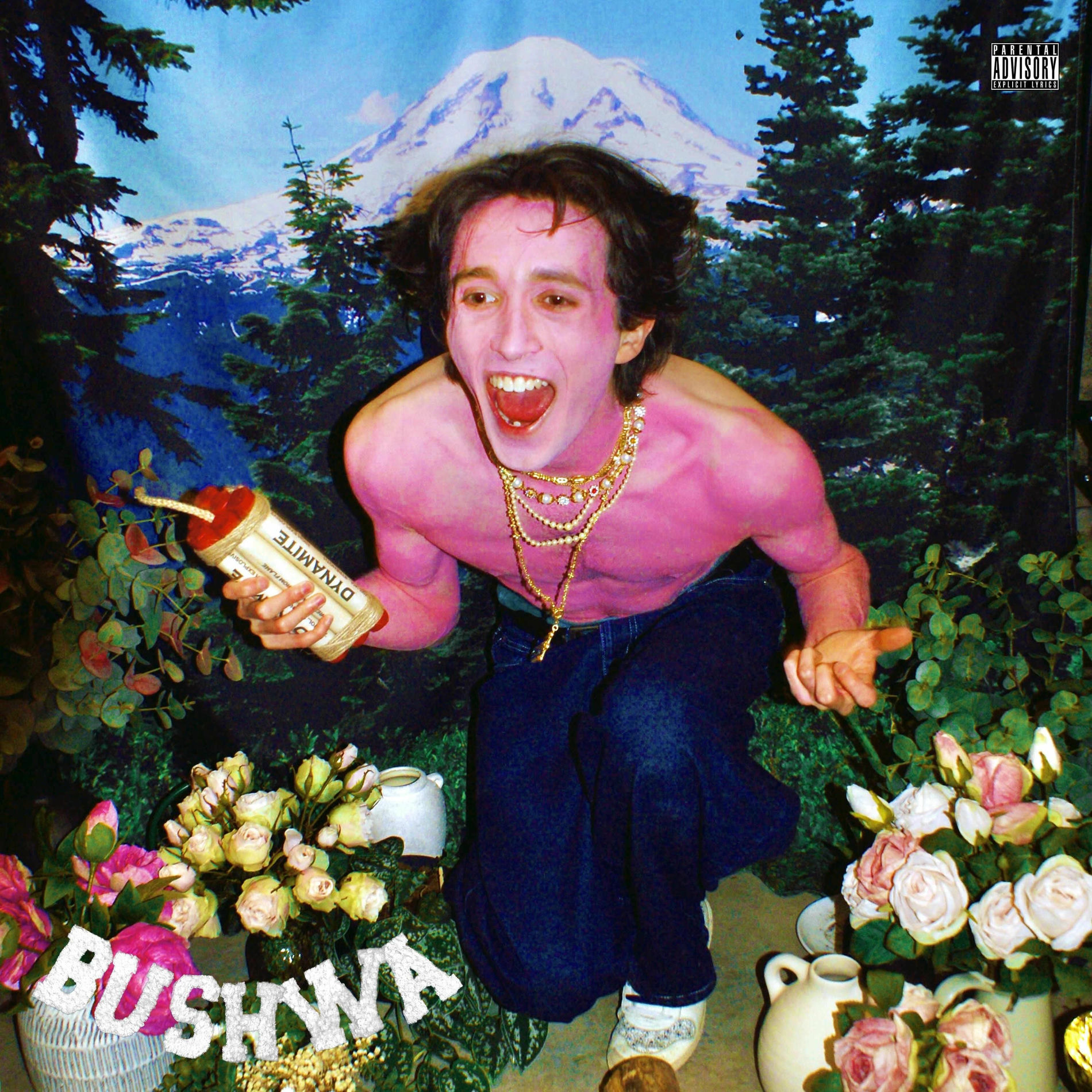 Album cover of BUSHWA
