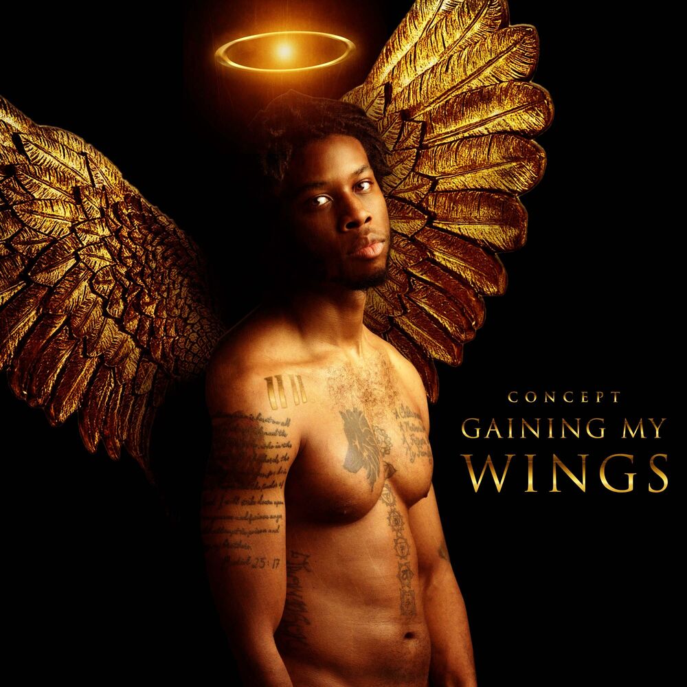 Picture of Gaining My Wings