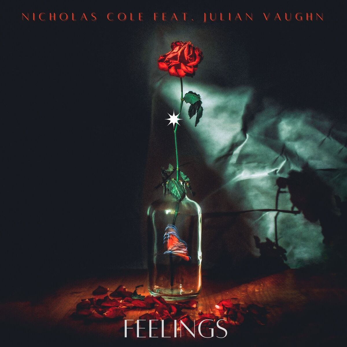 Album cover of Feelings