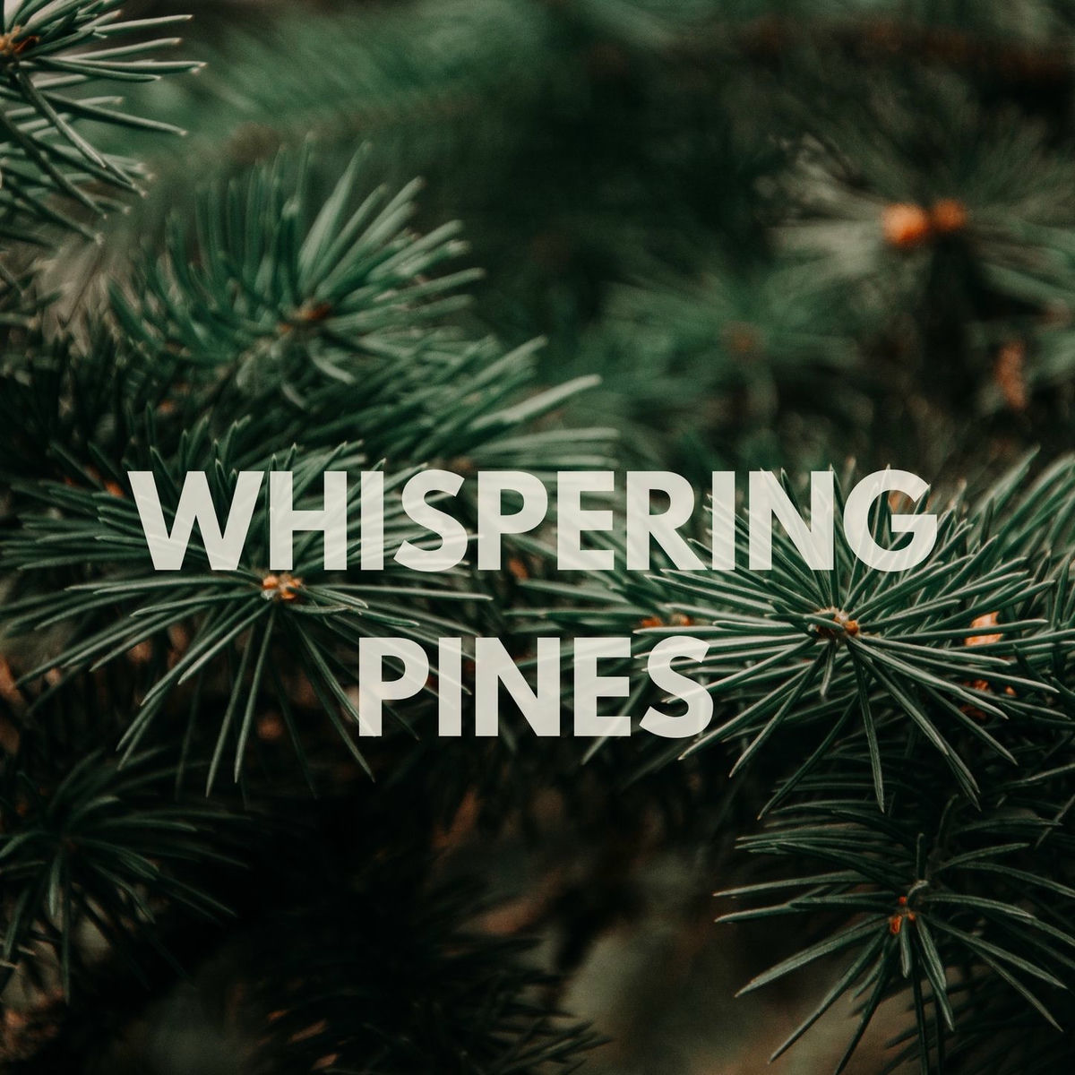 Album cover of Whispering Pines