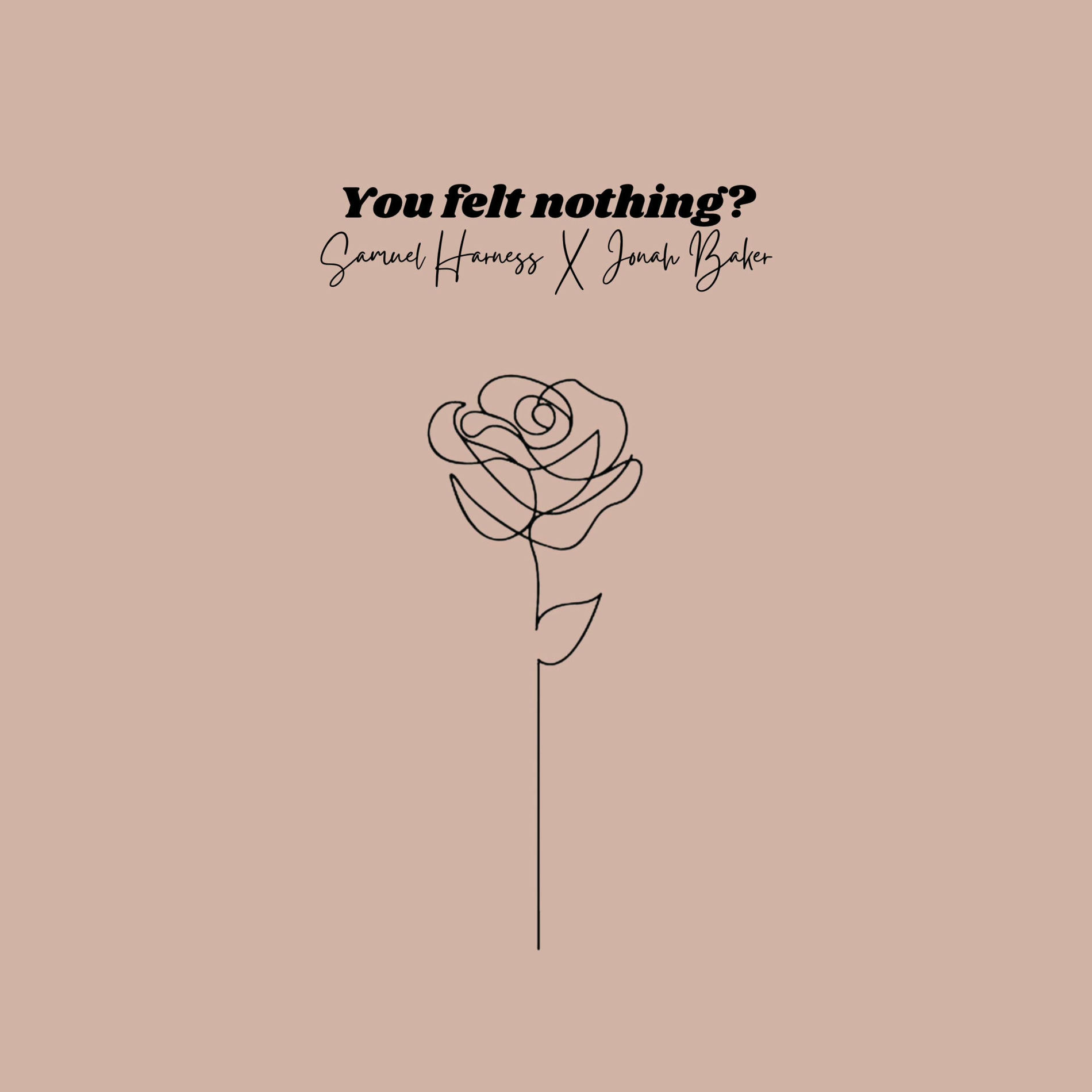 Album cover of You Felt Nothing?