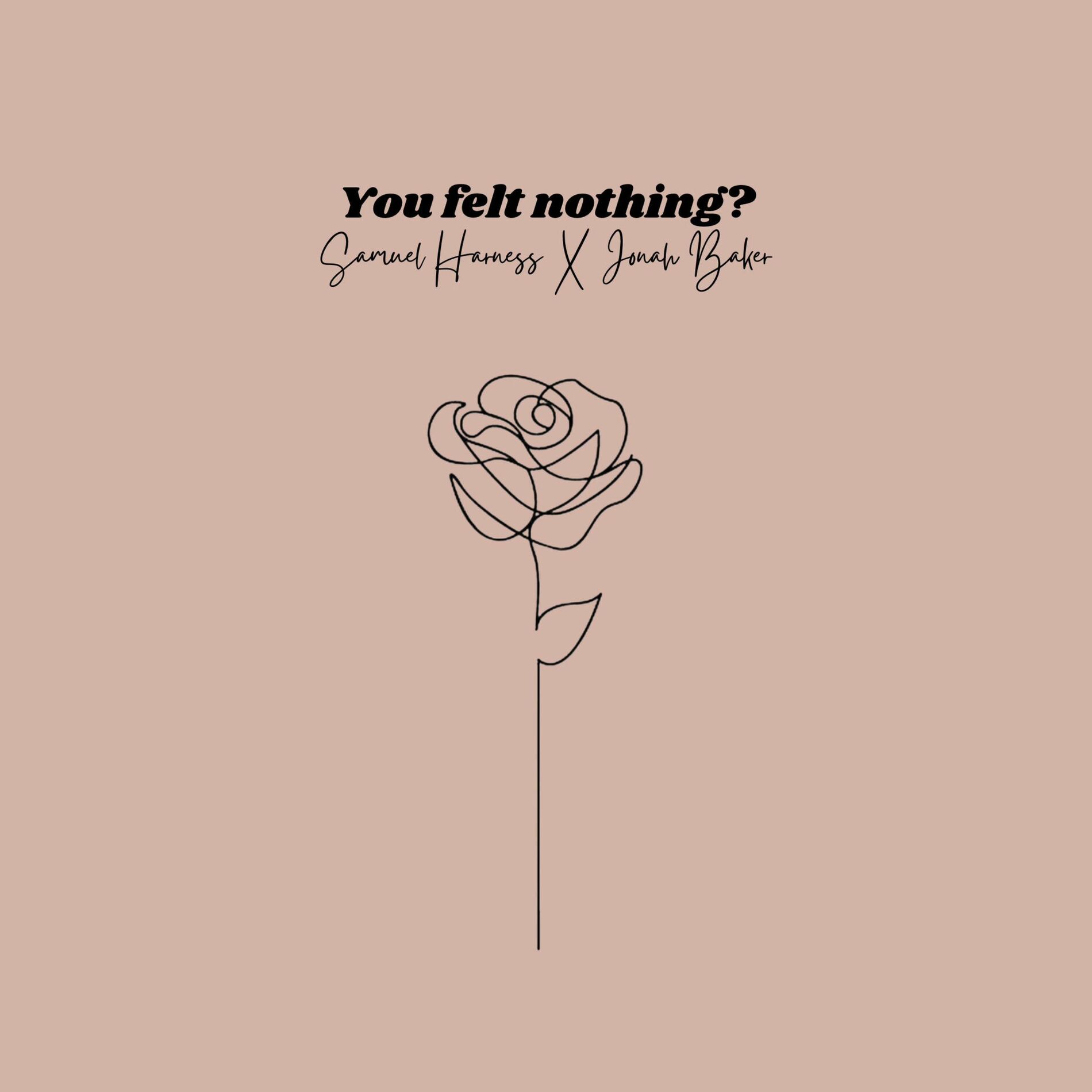 Album cover of You Felt Nothing?