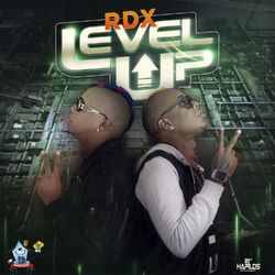 Cover of Level Up