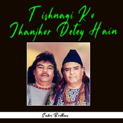 Cover of Tishnagi Ko Jhanjhor Detey Hain