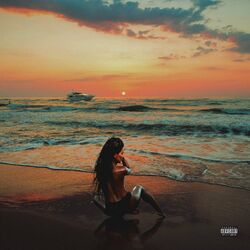 Cover of The Pursuit Of Happiness II
