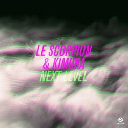 Cover of Next Level