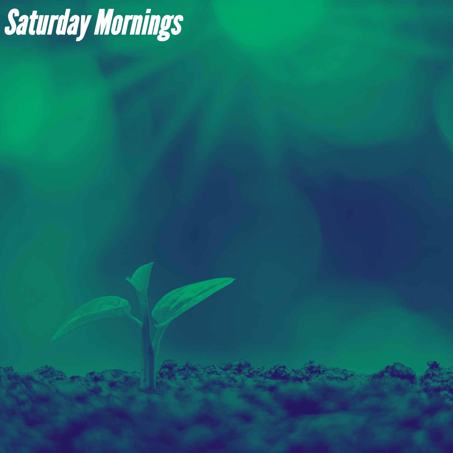 Album cover of Saturday Mornings
