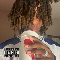 Cover of Quarantine Flow