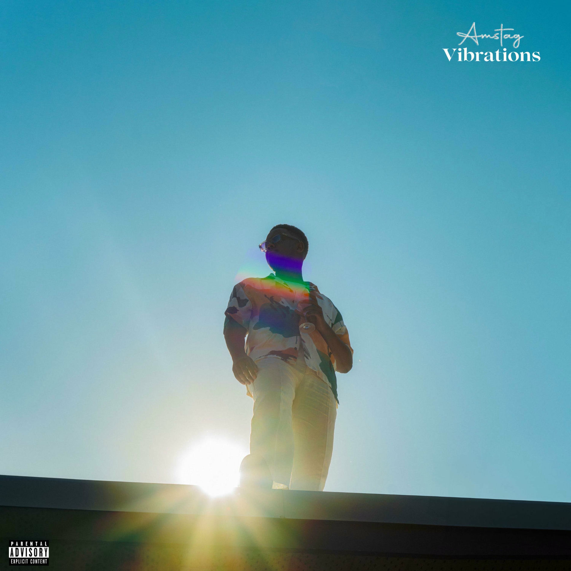 Album cover of Vibrations