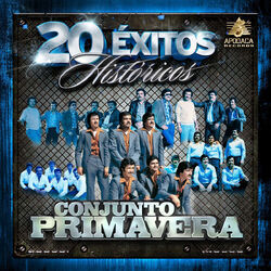 Cover of 20 Exitos Historicos