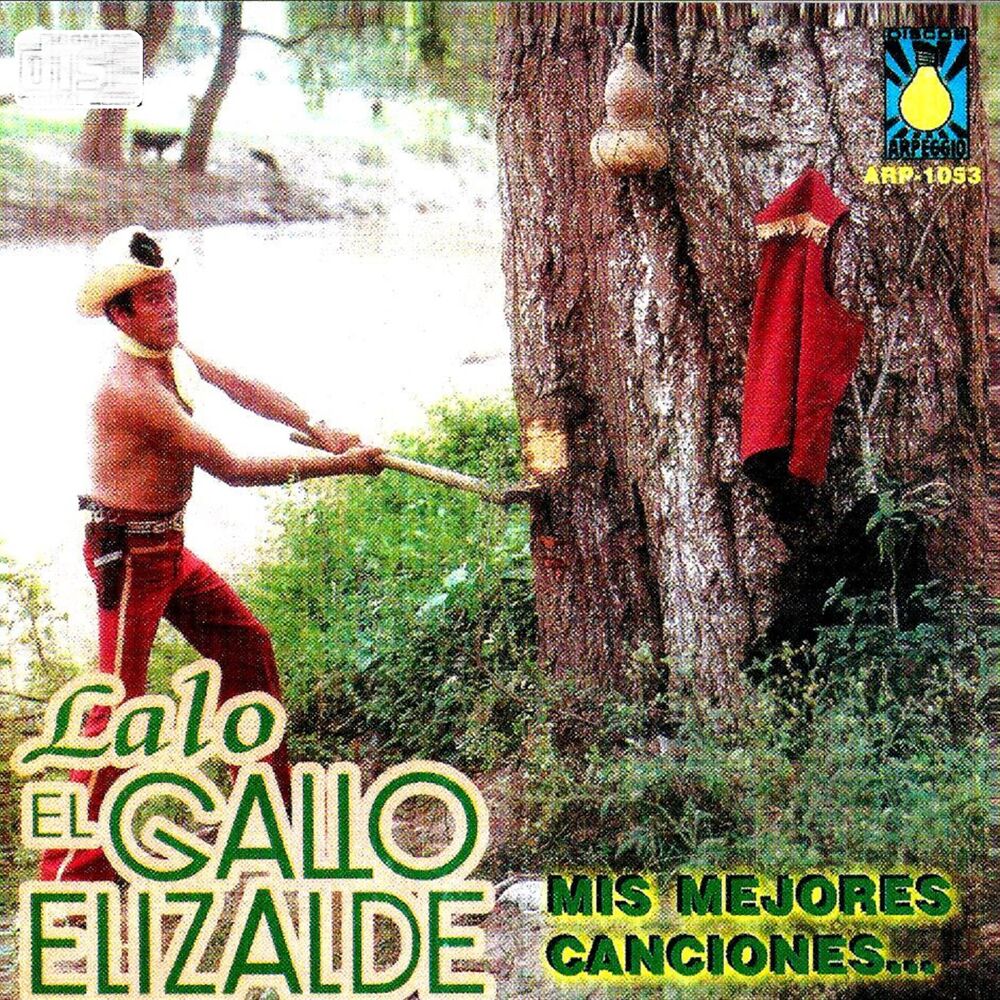 Picture of Mis Mejores Canciones