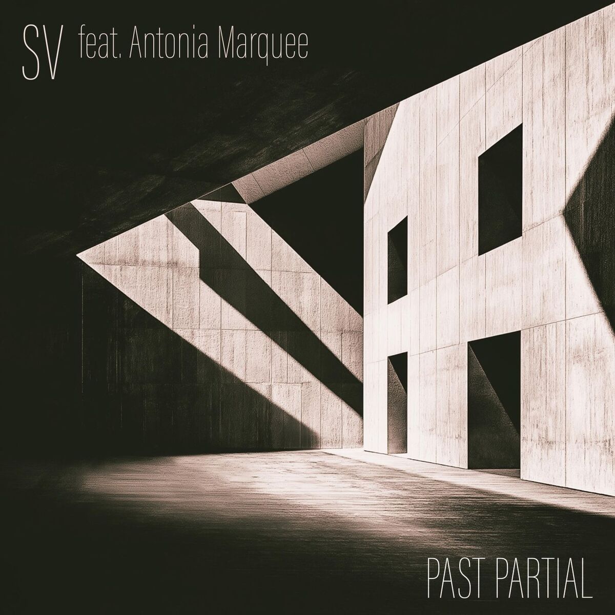 Album cover of Past Partial