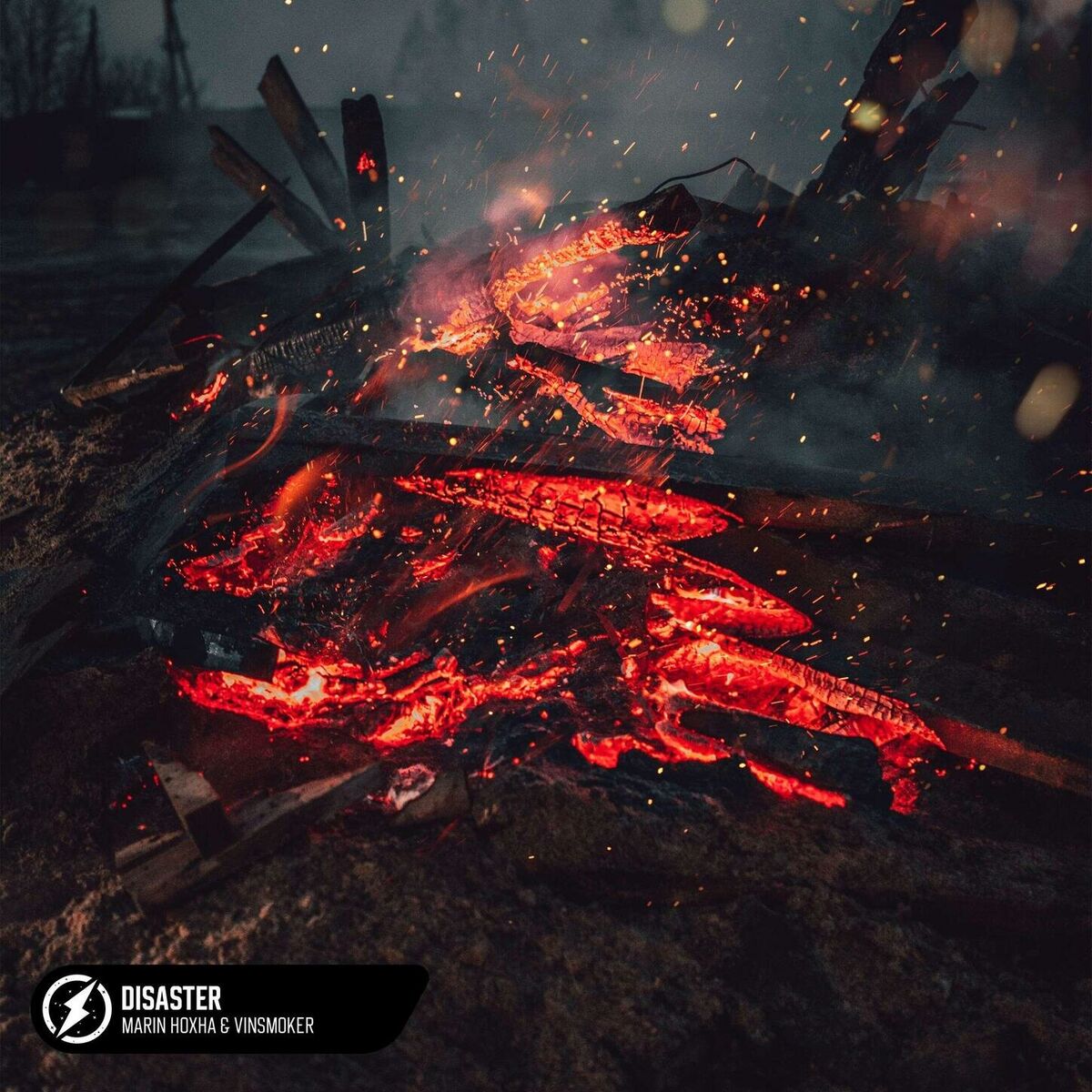 Album cover of Disaster