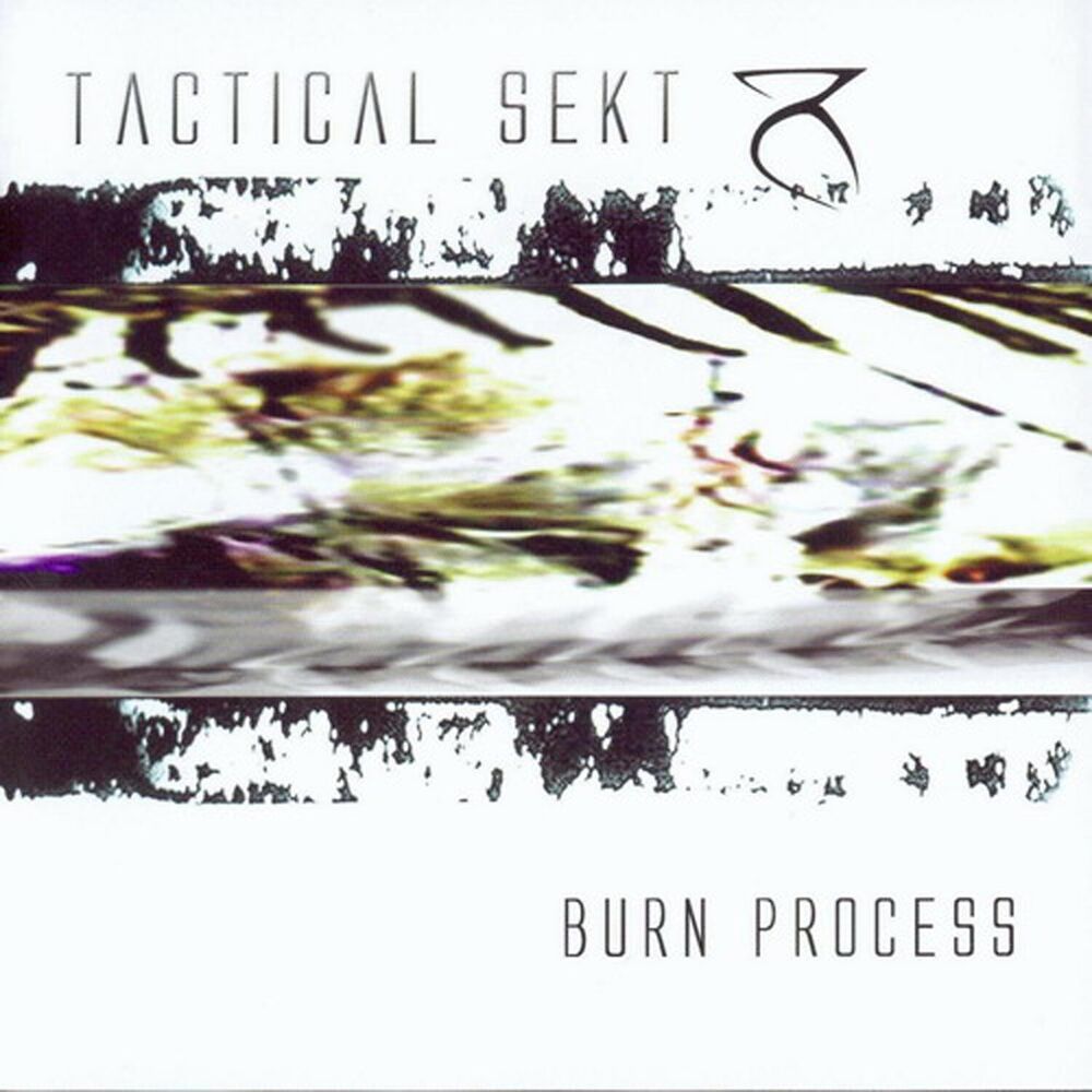 Picture of Burn Process