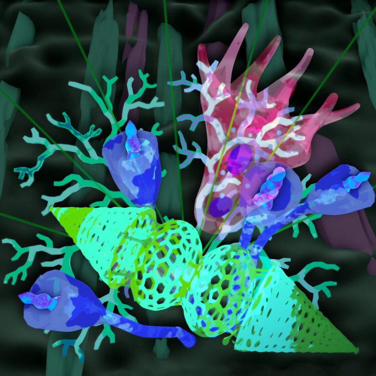 Album cover of Garden of Astral Blooms