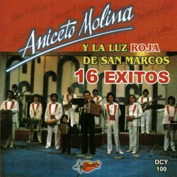 Cover of 16 Exitos