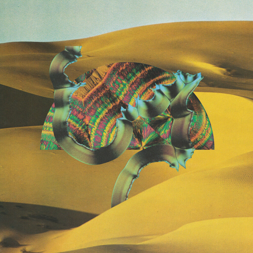 Picture of Django Django