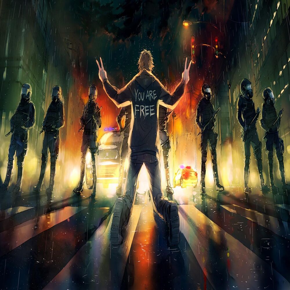 Picture of Free Collection