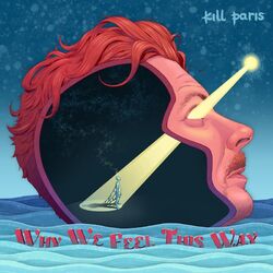 Cover of Why We Feel This Way