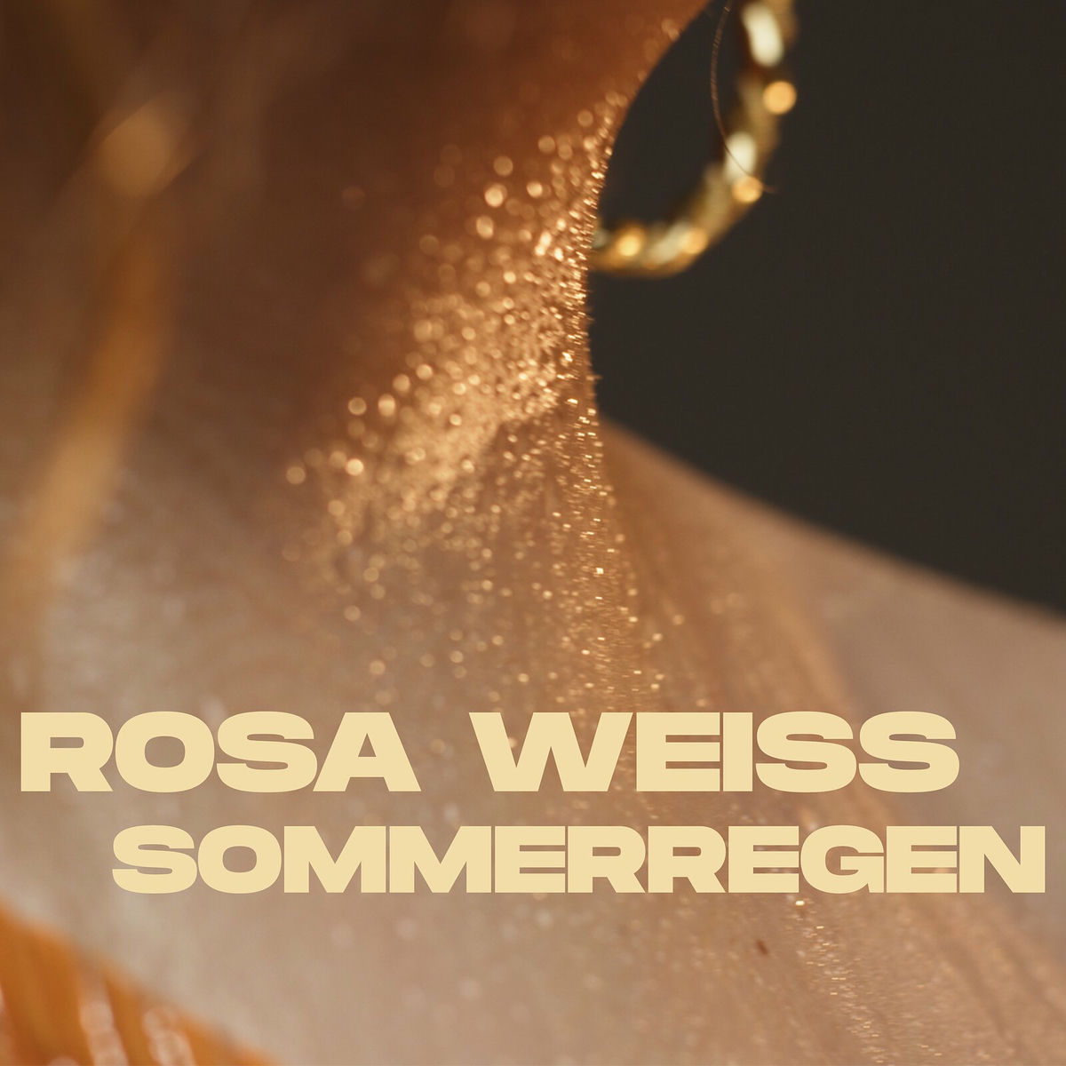 Album cover of Sommerregen
